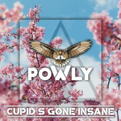 Cupids Gone Insane 2019 Powly